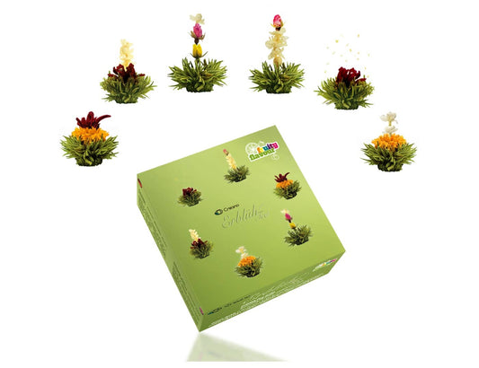 Creano Blooming Tea Mix – Fruity Green Tea with 6 Varieties | Handcrafted Flowering Tea Gift Set