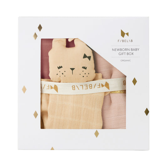 Dovanų dėžutė naujagimiui - dulkėtos rožės mišinys