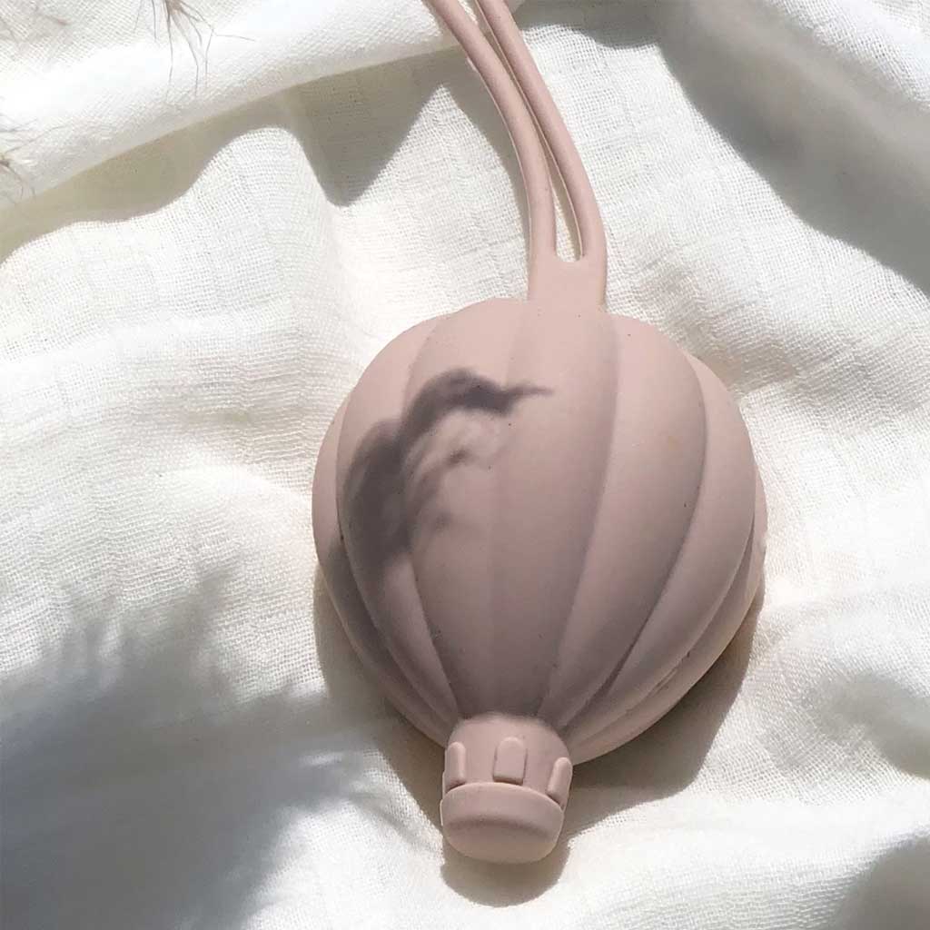 PETU PETU Dinar čiulptukas Box Rose