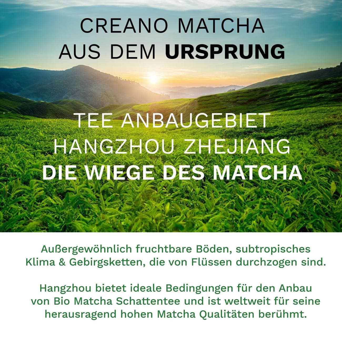 Creano organic matcha tea 100g - premium quality