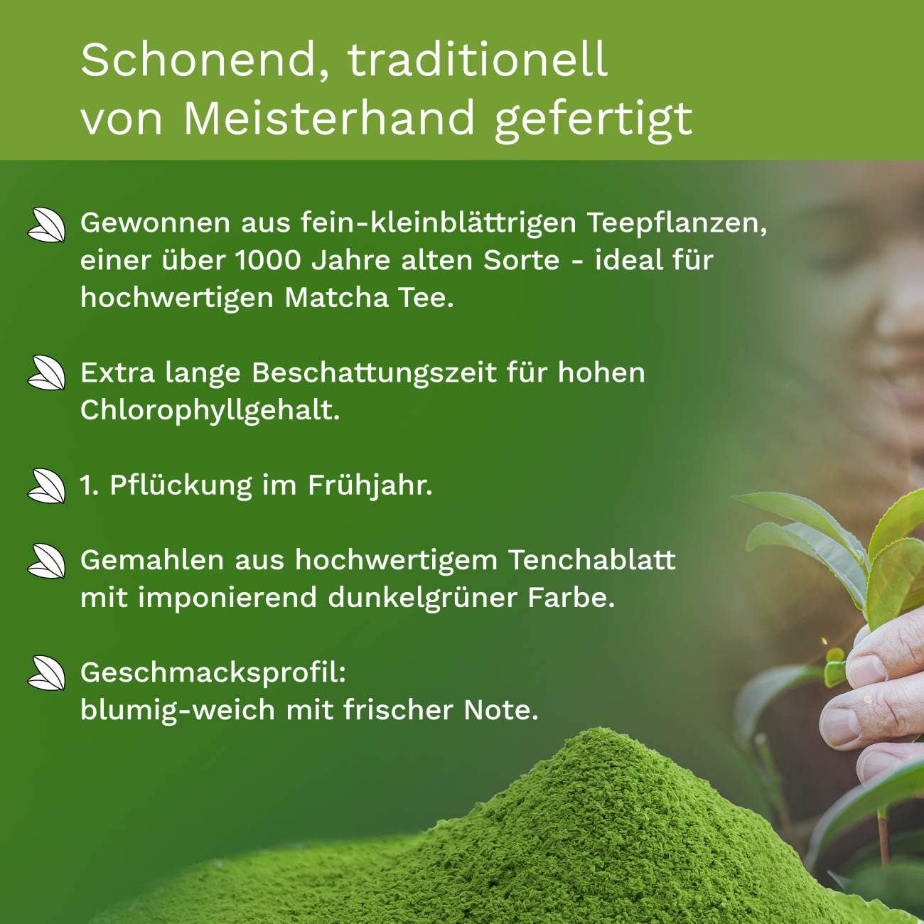 Creano organic matcha tea 100g - premium quality