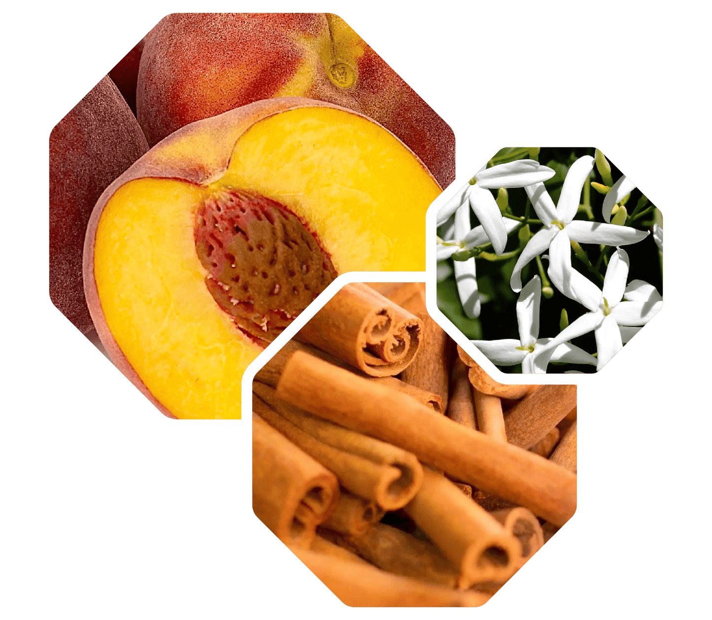 Logevy Macadamia Body Care 500ml