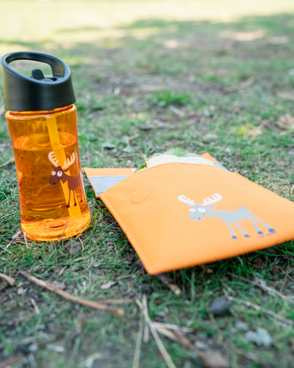 Carl Oscar Water Bottle Kids 0.35 L - Moose Orange