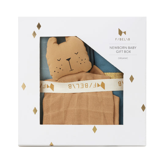 Newborn Baby Gift Box - Cottage Blue Mix
