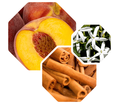 Logevy Macadamia Body Care 500ml