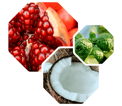 Logevy Melograno Pomegranate Body Care 500ml