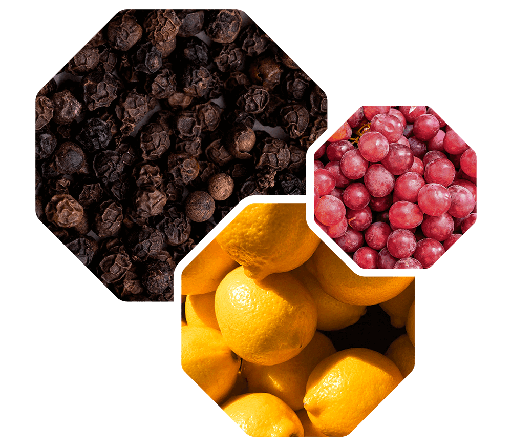 Logevy Pepe Nero Black Pepper Body Care 500ml