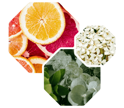 Logevy PEPE ROSA Pink Pepper Body Care 500ml